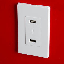 LD-U001 4.2A Smart High Speed USB Charger Outlet, 2 USB-poorten met 2 wandplaten