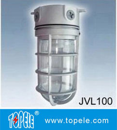 100W 220V Bruine, grijze IP65 die-cast aluminium dampwerende lampen, led-overstromingslampen