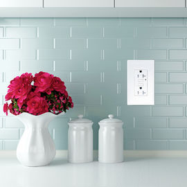 LD -U001 4.2A Smart High Speed USB Charger Outlet 2 USB-poorten met 2 wandplaten