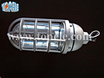 100W 220V Bruin Grijs IP65 Dampwerende Lampen - Gegooid Aluminium